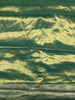 Burnt Orange and Green Floral Zari Woven Design Tissue Silk Fancy Saree with Zari Border