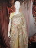 Butter Yellow Floral Vine Thread Embroidered Design Chiffon Party Wear Saree with Lace Border