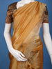 Caramel Brown Tissue Organza Saree with Embroidered Scallop Border - Diadem
