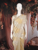 Champagne Beige Floral Design Tissue Silk Saree