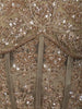 Champagne Beige Floral Vine Sequins and Kartana Embroidered Design Holographic Corset Party Wear Gown