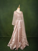Champagne Beige Floral Vine Sequins and Thread Embroidered Design Organza Gown with Matching Dupatta
