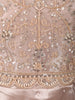 Champagne Beige Floral Vine Sequins and Thread Embroidered Design Organza Gown with Matching Dupatta