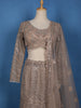 Champagne Beige Sequins Embroidered Mermaid Net Lehenga With Dupatta