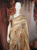 Champagne Gold Floral Vine Woven Design Pure Tissue Silk Fancy Saree with Sequins Border