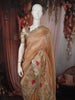 Champagne Gold Geometric Zari Woven Design Pure Organza Saree with Sequins Designer Border