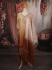 Champagne Gold Ombre Brown Floral Sequins Embroidered Design Organza Straight Cut Salwar Suit with Matching Dupatta