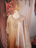 Champagne Gold Ombre Brown Floral Sequins Embroidered Design Organza Straight Cut Salwar Suit with Matching Dupatta