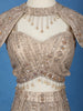 Champagne Gold Sequins Embellished Design Net Lehenga