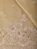 Champagne Gold Sequins and Beads Embroidered Tissue Banarasi Saree
