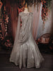 Champagne Silver Grey Heavy Sequins and Beads Embroidered Design Mermaid Net Lehenga