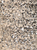 Champagne Silver Heavy Sequins Embroidered Design Sequins Fabric Party Wear Fish Cut Gown