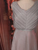Champagne Silver Shimmer Embellished Design Party Wear Gown