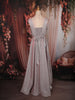Champagne Silver Shimmer Embellished Design Party Wear Gown