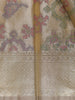 Champagne Gold Ikat Woven Tissue Silk Saree - Diadem