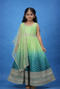 Green Floral Designed Sequins Work Banarasi Gown with Net Dupatta