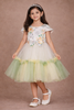 Light Green Satin with Net Frilled Gown Adorned with Floral Prints and Attached Bow