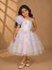 Pastel Multicolor One-Shoulder Kids Net Gown