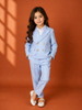 Light Blue Plain Cotton Blend Coat Suit