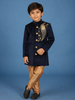 Navy Blue Velvet Peacock Motif Embroidery Sherwani And Pant Set