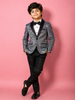 Silver Shimmer Tuxedo Full Sleeve Blazer for Boys