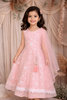 Peach Thread and Sequins Embroidered Design Kids Net Lehenga