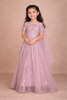 Light  Pink Sequins Embroidered Kids Net Lehenga