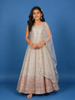 Ivory Floral Designed  Sequins Banarasi Gown