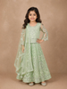 Light Green Net Lehenga Embellished with Floral Threads and Stonework, paired with Dupatta