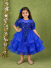 Royal Blue Net Layered Gown Adorned With 3D Flowers and Sequins