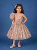 Peach One-Shoulder Glitter Net Party Frock with 3D Floral Embellishments