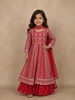 Red Floral Embroidered Georgette Kids Palazzo Suit