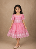 Pink Floral Embroidery Organza Party Wear Gown for Girls