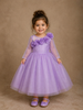 Lavender Shimmer Full Sleeves Gown Adorned with 3D Flowers