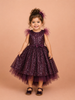 Purple Net Ball Gown Embellished with Sequins and an attached Bow