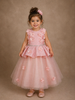 Light Pink Net and Satin Gown Adorned with 3D Flowers