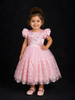 Light Pink Net Ball Gown Adorned with Satin, Floral Embroidery, and 3D Flowers