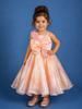 Peach Pink Floral Design Satin Party Frock
