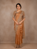 Orange Floral and Paisley Designed Tissue Organza Saree