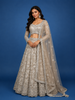 Beige Floral Embroidery Net Lehenga
