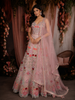 Blush Pink Floral Sequins and Beads Embroidered Design Net Lehenga With Net Dupatta