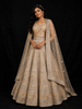 Brown Semi Stitched Lehenga Adorned with Sequins and Sequins and Floral Design with Dupatta