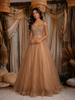Bronze Crystals And Sequins Embroidered Net Gown