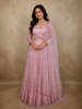 Blush Pastel Pink Floral Beads Embellished Design Net Lehenga With Net Dupatta