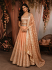 Light Peach Silver Zari Woven Design and Mirror Work Banarasi Silk Designer Lehenga with Dupatta
