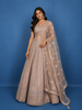 Light Pink Sequins Embroidery Net Lehenga