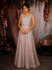 Champagne Silver Shimmer Embellished Design Party Wear Gown