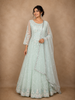 Pastel Mint Green Floral Sequins and Thread Embroidered Design Net Gown with Dupatta