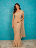 Tan Organza Silk Saree Embellished with Sequins and Beads Border along with Designer Blouse