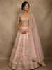 Baby Pink Heavy Embroidered Design Raw Silk Bridal Lehenga